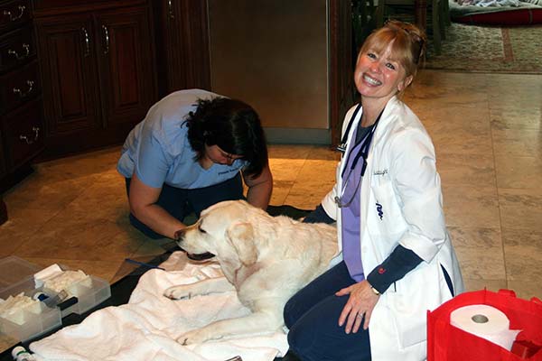veterinary services in your home